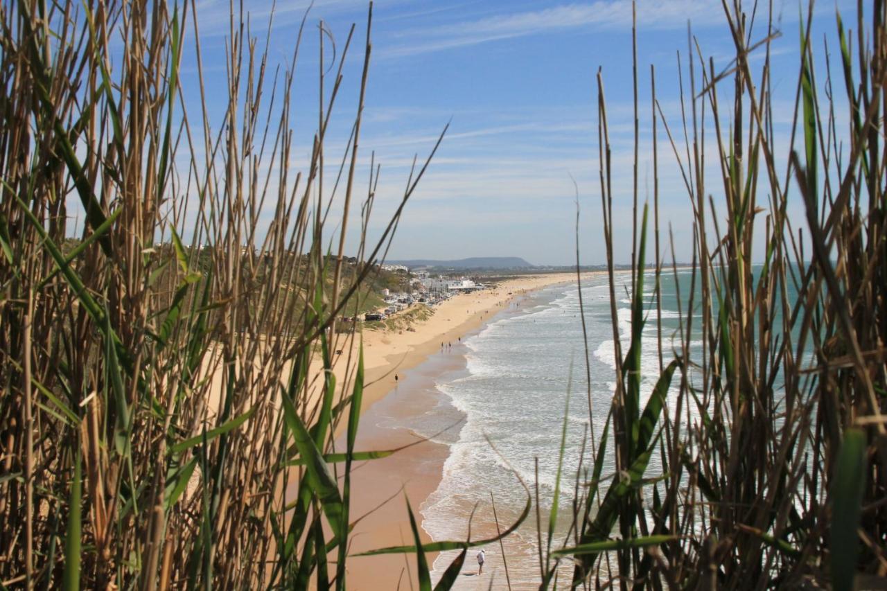 Estudio En El Centro De Conil Кониль-де-ла-Фронтера Экстерьер фото